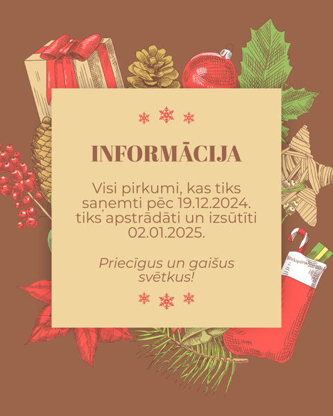 INFORMĀCIJA PAR PIEGĀDĒM DECEMBRĪ